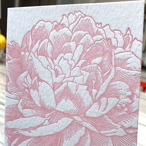 Peony letterpress folded note card from vintage engraving image 6