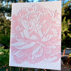 Peony letterpress folded note card from vintage engraving