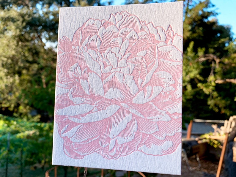 Peony letterpress folded note card from vintage engraving image 1