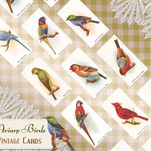 Cartões de chá vintage imprimíveis - 11 pássaros de aviário - Conjunto de artesanato para scrapbooking e diário de lixo. Download instantâneo.