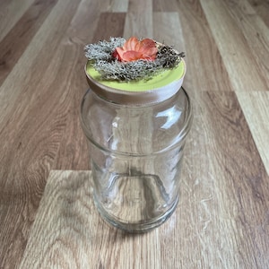 Crow Jar - For Your Oddities and Shinies!