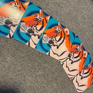 Trance - A Tiger Art Print