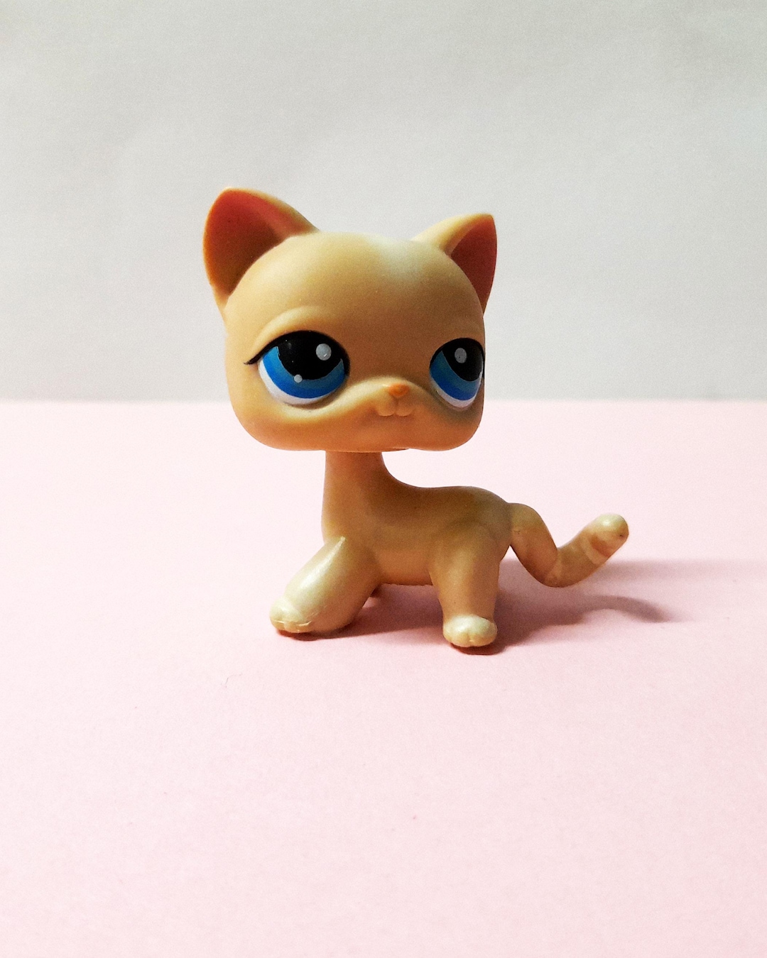 Littlest Pet Shop Cat Short Hair #228 Hasbro Authentic LPS - Etsy