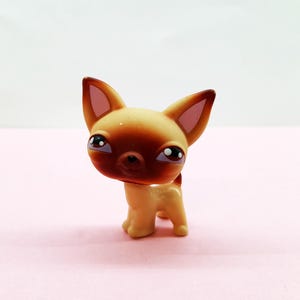 LPS Littlest Pet Shop Chihuahua #1 Hasbro Authentic