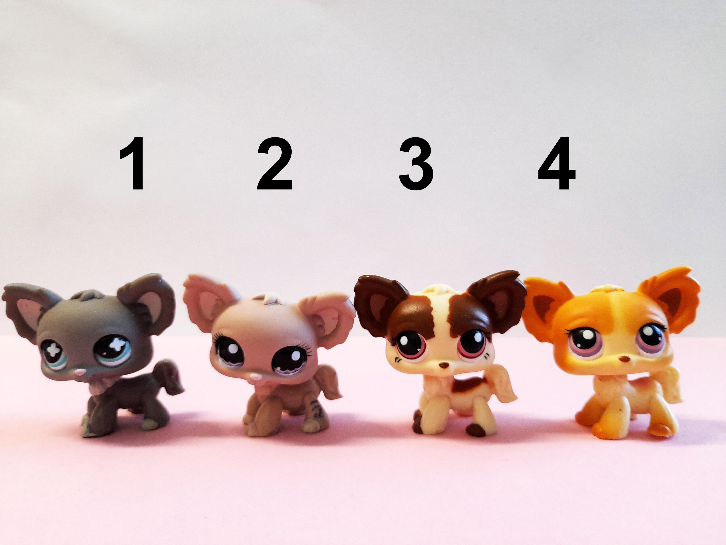LPS【コエダナガレハナ＋リュウキュウキッカ】＋ディスクR+スジチヂミトサカ Littlest Pet Shop Chihuahua #836 #1060 #385 #96 Hasbro Authentic