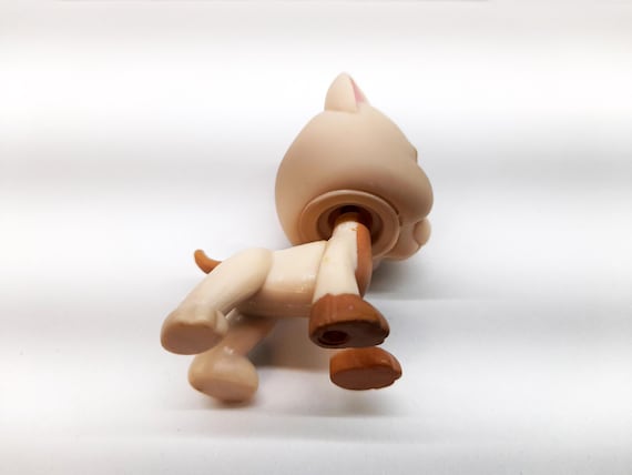RARE HASBRO LPS Littlest Pet Shop Short Hair Cat Orange Flower Green