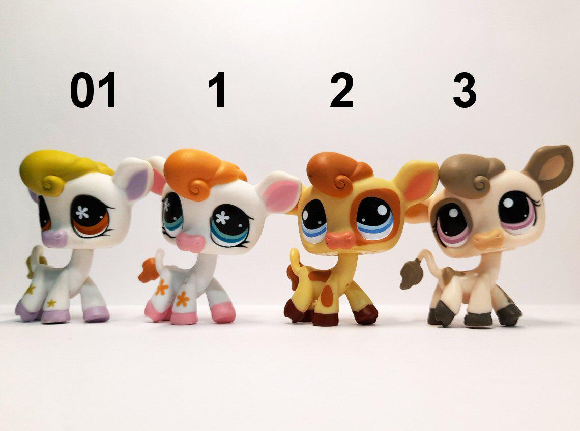 Old Sheep Shop Ireland