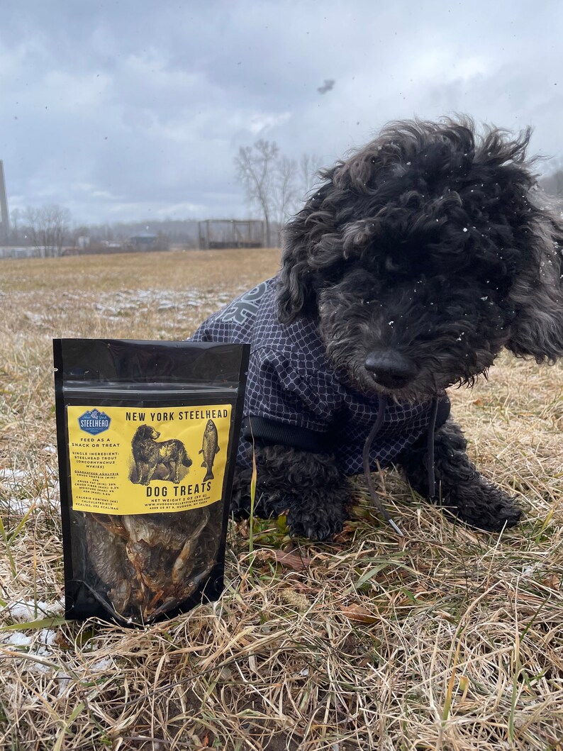 Steelhead Trout Dog Treats Etsy