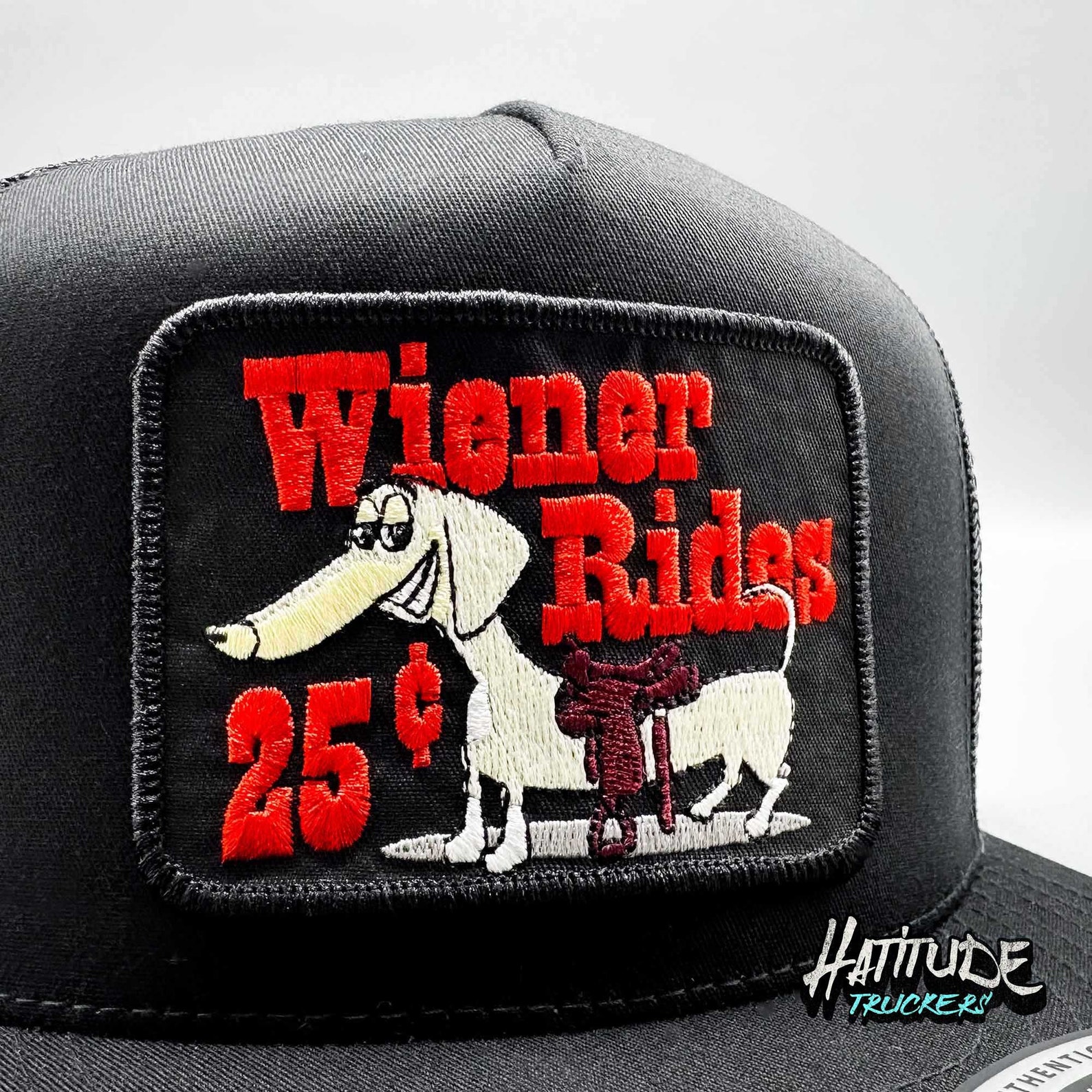 Wiener Rides 25 Cents Black Patch Adult Humor Funny Trucker Hat on an ...