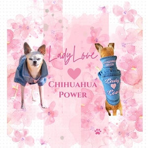 May include: Two chihuahua dogs wearing denim jackets with pink embroidery. The jackets say "Chihuahua Power" and "Lady Love". The dogs are on a pink background with pink flowers.