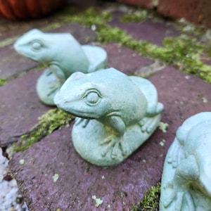 May include: Three small, pale green frog statues. Each frog is perched on a rounded base, with detailed features. The statues are placed on a brick surface with patches of green moss.