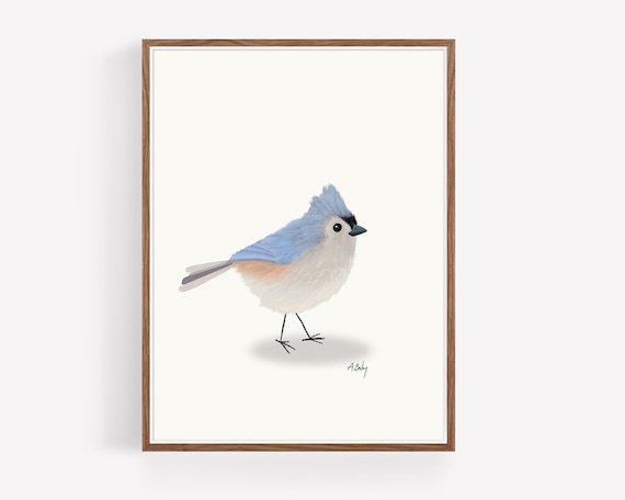 Tufted Titmouse