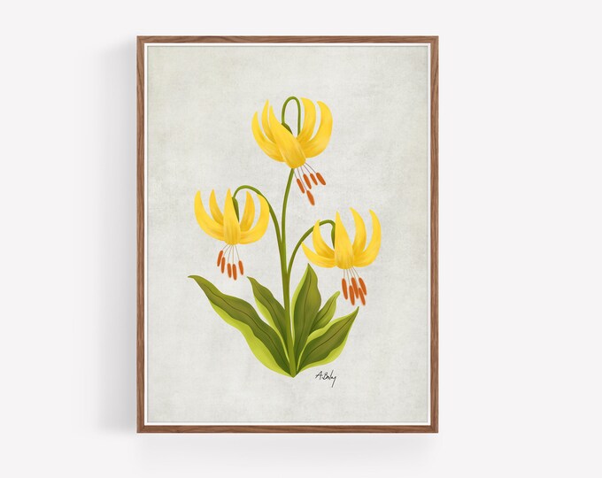 Glacier Lily Illustration Print: Botanical Floral Art