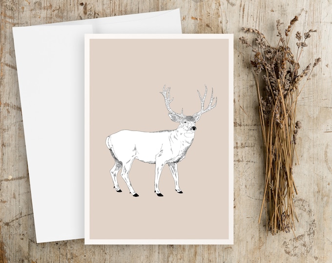 "Buck" - Pen and Ink Drawing Greeting Cards, any occasion