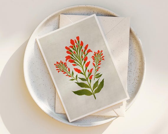 Indian Paintbrush Note Cards- Floral Note Cards - Wildflower Greeting Cards - Set of Note Cards - Blank inside any occasion - Cute Flowers
