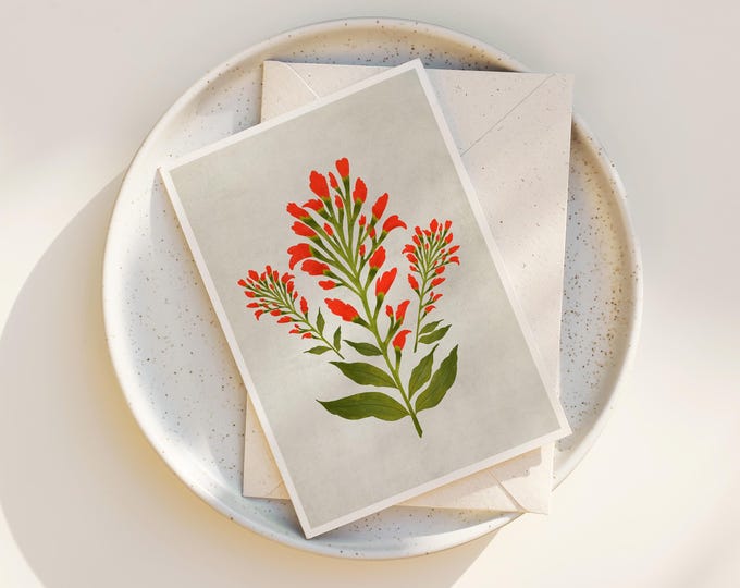 Indian Paintbrush Floral Note Cards: Wildflower Greeting Card Set