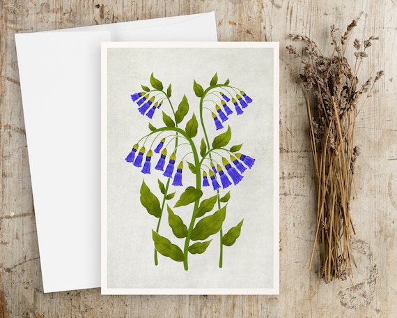 Bluebells Watercolor Wildflowers Notecards - floral note cards - botanical art - watercolor flowers - folk art - illustration art - flowers