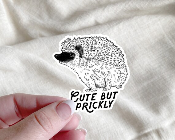 Hedgehog Cute But Prickly Sticker | Vinyl Sticker | 3x3 sticker | Scrapbooking | Journaling | Water bottle | cute | animal stickers