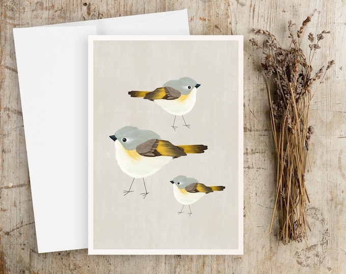 American Redstart Bird Greeting Card Set - Scandinavian Note Cards