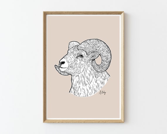 Modern Bighorn Sheep Drawing | ink drawing | Large wall art | Bighorn Sheep Art | ram wall art | pen and ink | animal wall art | curly horns