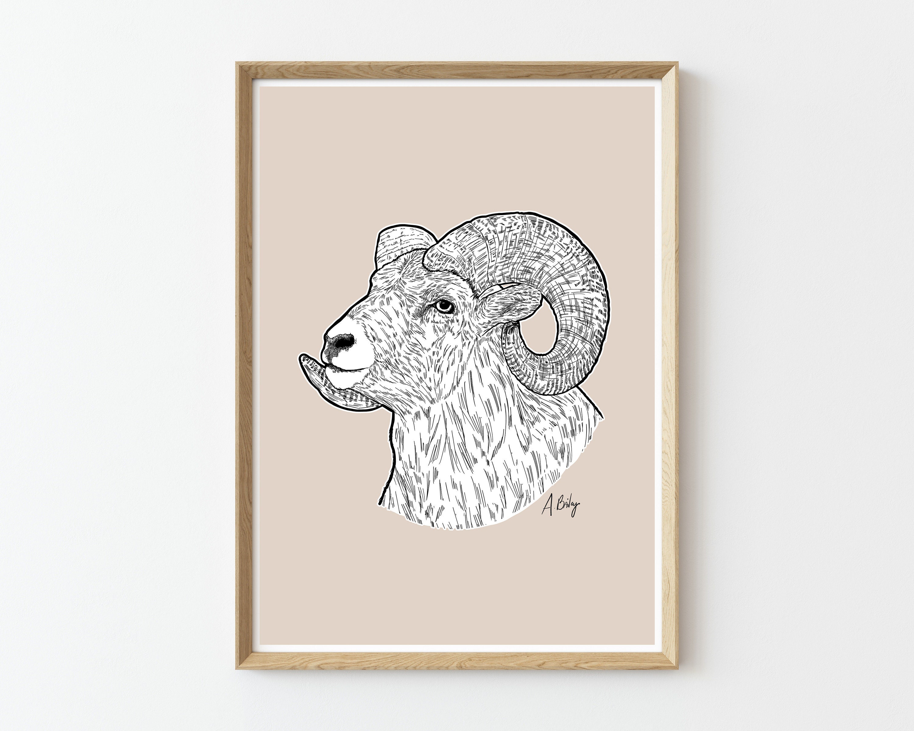 Modern Bighorn Sheep Drawing | ink drawing | Large wall art | Bighorn Sheep Art | ram wall art | pen and ink | animal wall art | curly horns Modern Bighorn Sheep Drawing | ink drawing | Large wall art | Bighorn Sheep Art | ram wall art | pen and ink | animal wall art | curly horns