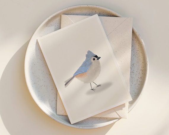 Tufted Titmouse Notecards - Bird Drawing - blank greeting card - set of greeting cards - illustration - nature - cute - whimsical - simple