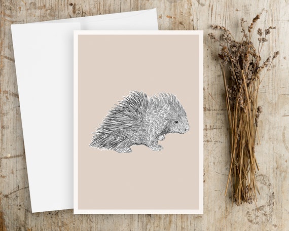 Porcupine Greeting Card | Blank Greeting card | Any Occasion Greeting Card | Baby Animals | Greeting Card | Porcupine Drawing | Porcupine