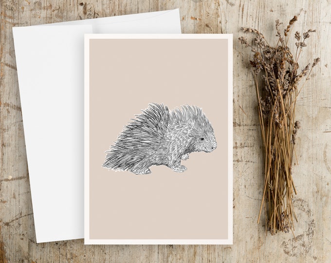 Baby Porcupine Greeting Card: Pen & Ink Drawing