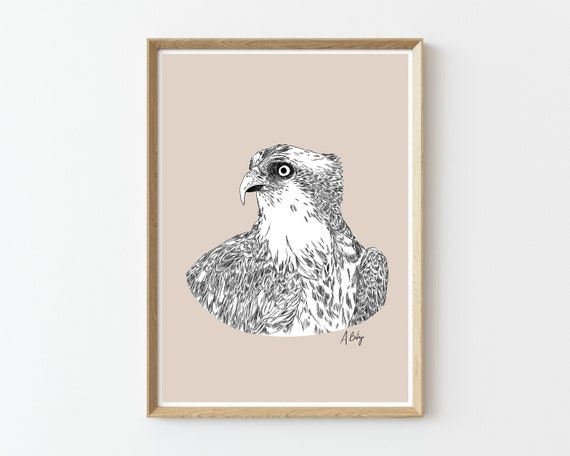 Osprey Art Print | Osprey Bird Wall Art | Customizable Prints | Woodland Animals | Wildlife Prints | Nature Prints | Large Wall Art | Custom