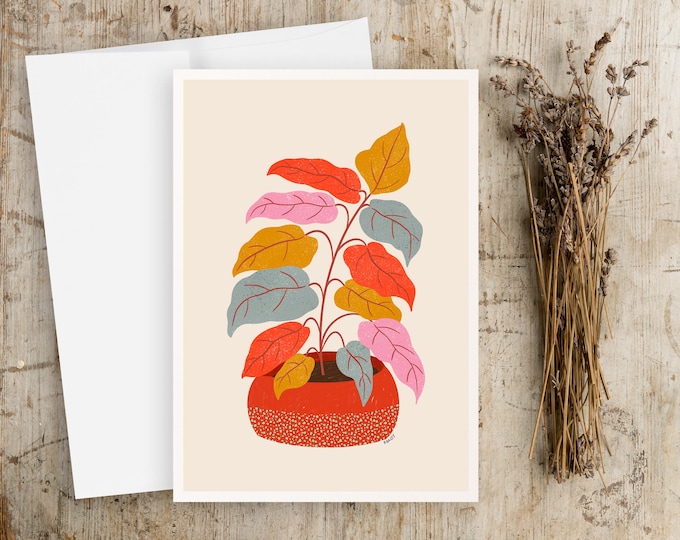 "Daylight Dreamer" - Potted Plant Note Cards