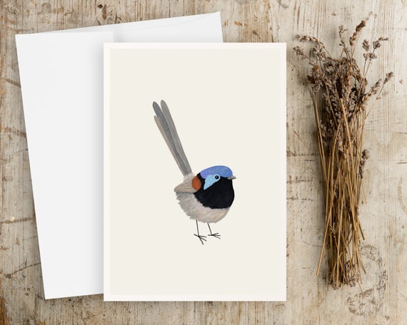 Fairy Wren Bird Notecards - Notecards with envelopes - blank greeting card - simple artwork - illustration art - cute bird - little bird