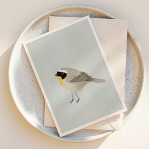 Cute Bird Greeting Cards with envelopes - Bird Note Cards - Whimsical Bird Note Cards - Blank inside - Any Occasion - Nature Art watercolor