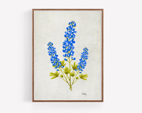 "Bluebonnets"