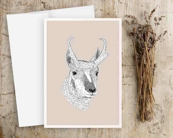 Pronghorn Greeting Card | Blank Greeting card | Any Occasion Greeting Card | Antelope Greeting Card |Drawing | Wildlife Greeting Card