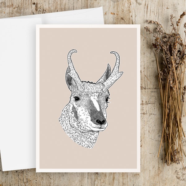 Pronghorn Greeting Card | Blank Greeting card | Any Occasion Greeting Card | Antelope Greeting Card |Drawing | Wildlife Greeting Card