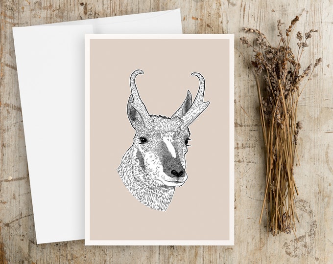 "Pronghorn Portrait" -  Pen and Ink Illustration Greeting Card, wildlife note cards, any occasion