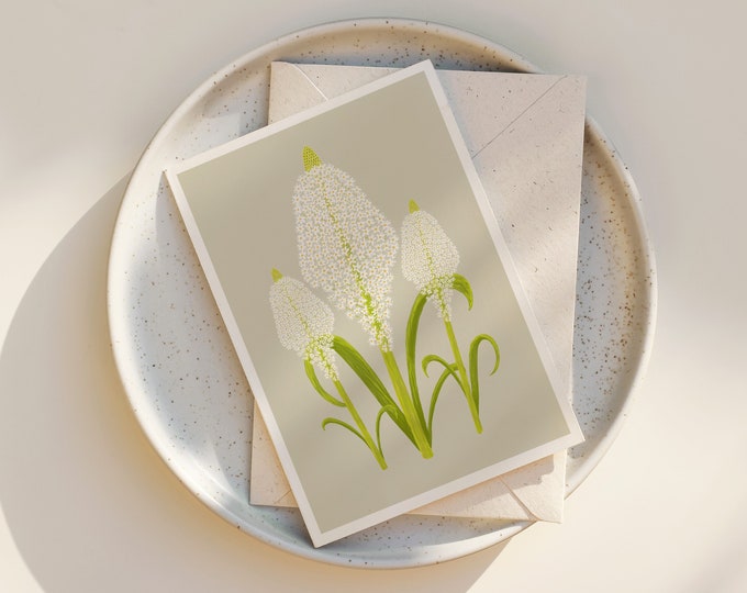 Beargrass Wildflower Greeting Card: Botanical Illustration