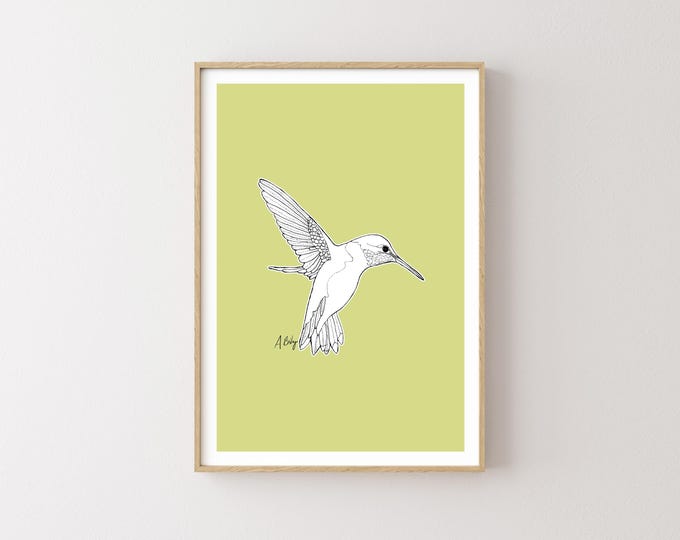 "Anna's Hummingbird" - Pen and Ink illustration, modern minimalist nature print