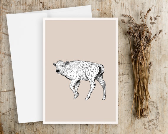 Baby Bison Greeting Card | Blank Greeting card | Any Occasion Greeting Card | Buffalo | Bison | Greeting Card | Baby Animals Greeting Card