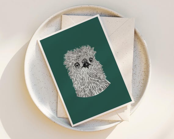 "Osprey Chick" -  Greeting Card Set: Delicate Bird Ink Drawing, Blank Note Cards