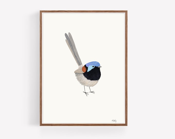 "Fairy Wren" - Fairy Wren Art Print, Minimalist Blue Bird Illustration, Rustic Folk Art Nature Poster, Birdwatcher Gift, simple nature art
