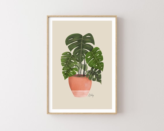 Monstera Monday