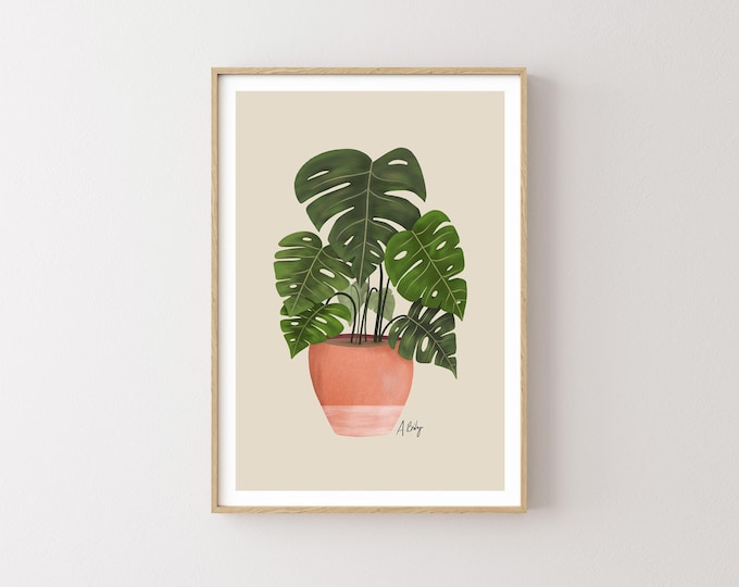 Monstera Monday