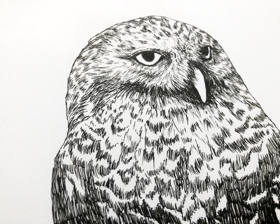 Oryginalna Sztuka Oryginalny Rysunek Sowa Wystrój Sowy Rysunki I Ilustracje Sowa śnieżna Rysunek Atramentowy Sztuka Tuszu Sztuka ścienna