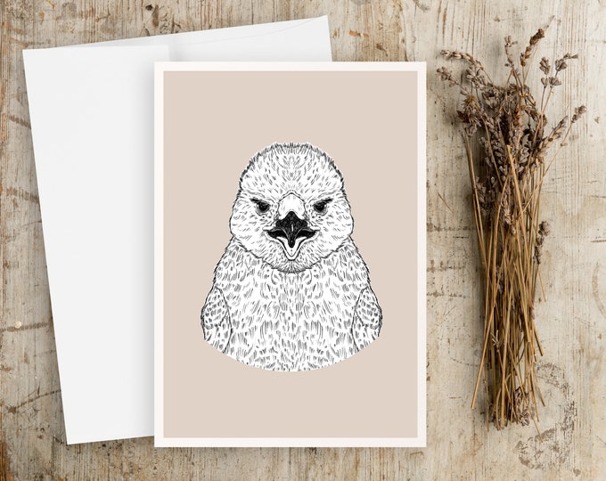 "Eaglette" -  Eagle Chick Note Cards, pen and ink drawing
