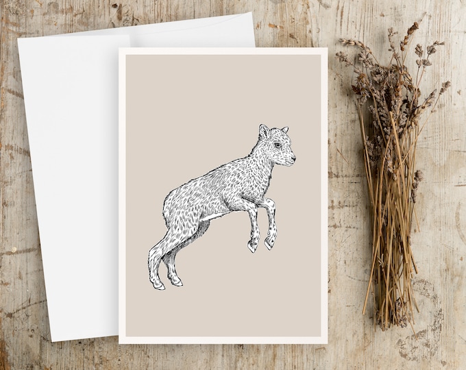 Baby Bighorn Sheep Drawing Greeting Card: Pen & Ink Art