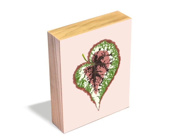 Begonia Rex - Wood Art Block