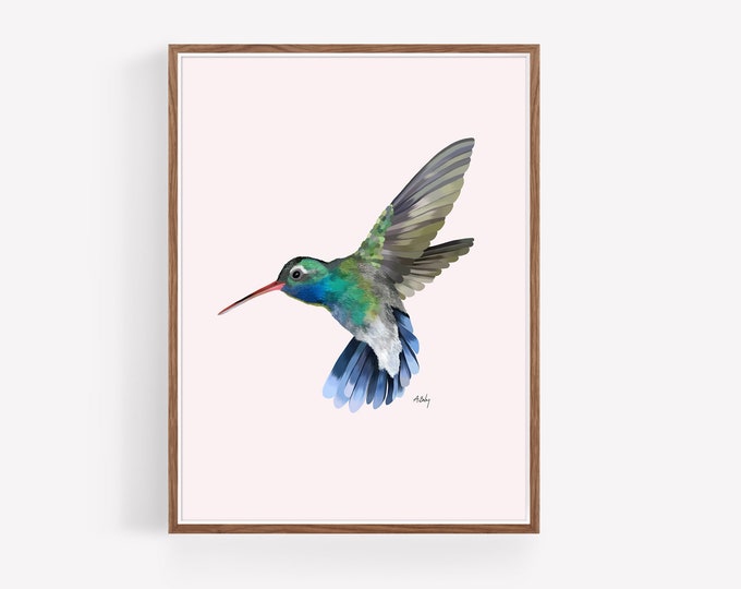 "Hovering" - Anna's Hummingbird Illustration Print