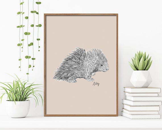 Porcupine Art Print | Baby Animals | Wall Art | Customizable Prints | Nursery Art | Wildlife Prints | Nature Prints | Large Wall Art