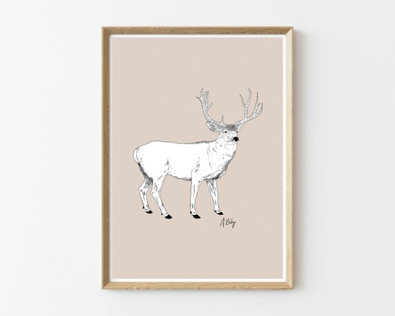 Modern Deer Art Print | Buck | Antlers | Drawing | Pen and Ink | Game Animals | Wild Game | Woodland Animals | Large Wall Art | Fine Art